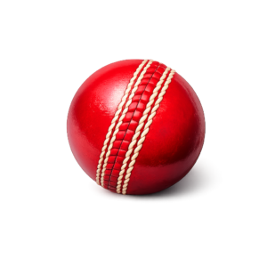 Cricket ball
